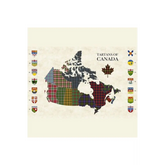 Tartan Traditions, Tartan Panel - DP25586-11